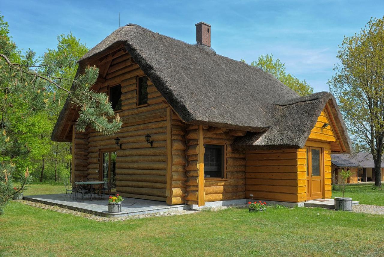 Villa Dom Pod Sosnami à Gryżyna Extérieur photo