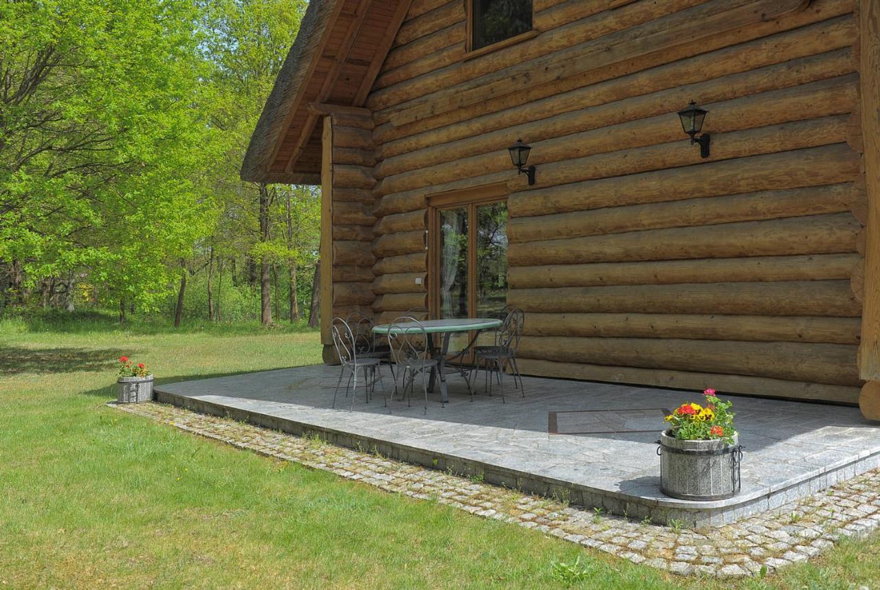 Villa Dom Pod Sosnami à Gryżyna Extérieur photo