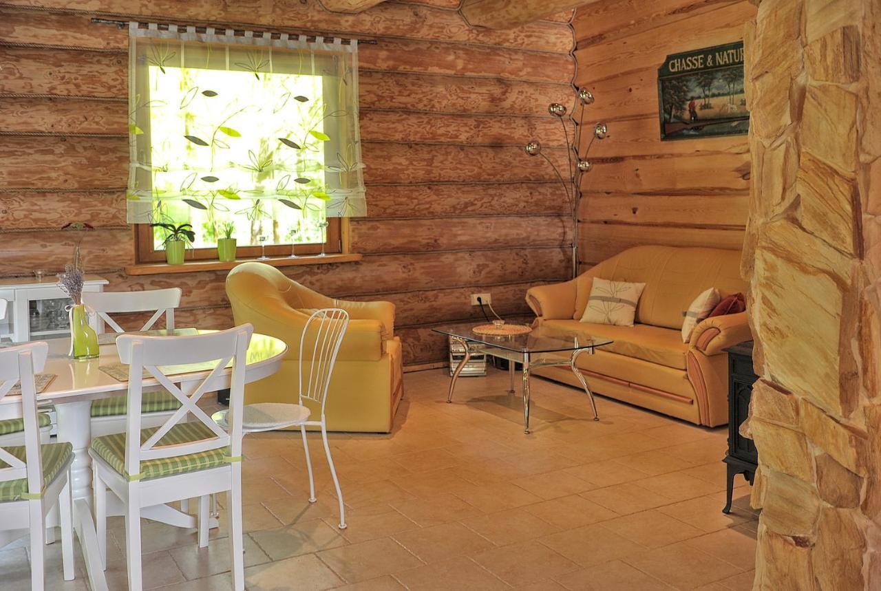 Villa Dom Pod Sosnami à Gryżyna Extérieur photo