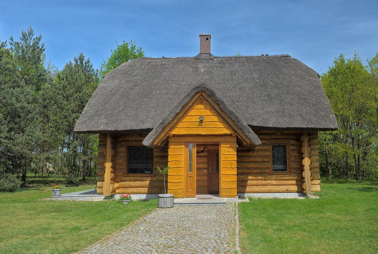 Villa Dom Pod Sosnami à Gryżyna Extérieur photo