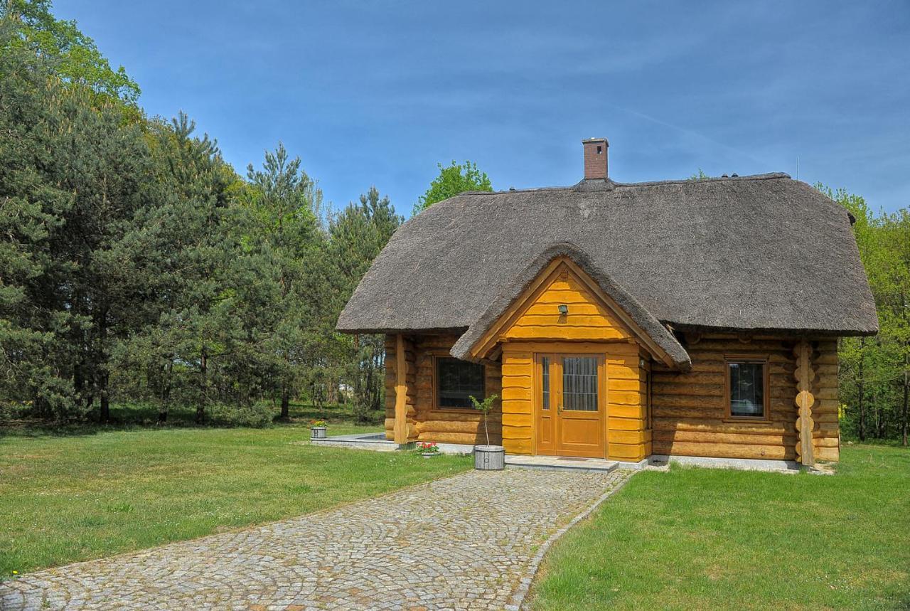 Villa Dom Pod Sosnami à Gryżyna Extérieur photo