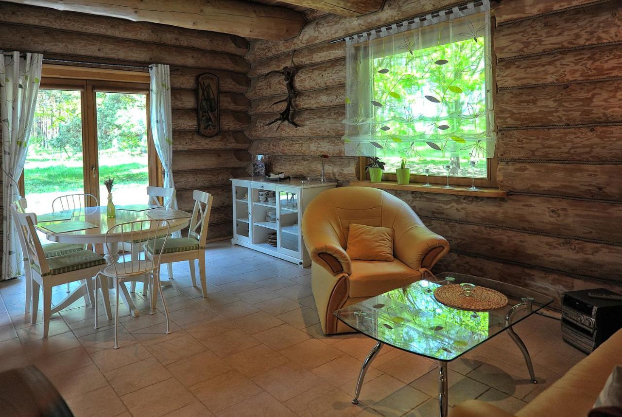 Villa Dom Pod Sosnami à Gryżyna Extérieur photo